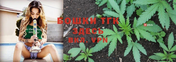 PSILOCYBIN Артём