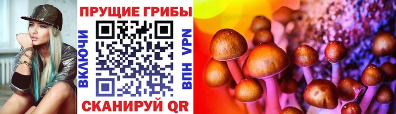 Псилоцибиновые грибы ЛСД  закладки  Волжский 